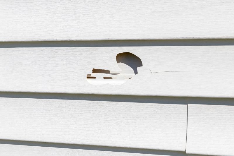 Vinyl Siding Repair - Image 11