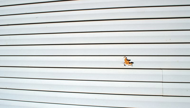 Repair and Replacement Services